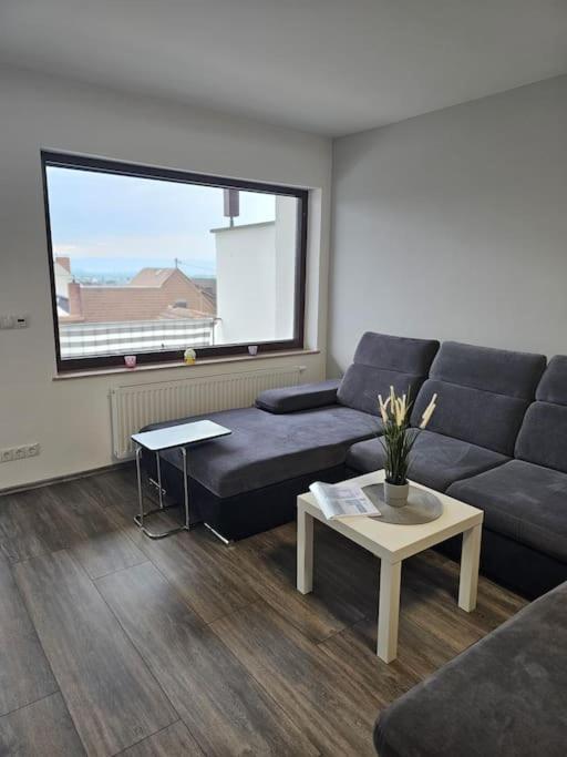 Gemuetliche Ferienwohnung Mülheim-Kärlich Εξωτερικό φωτογραφία